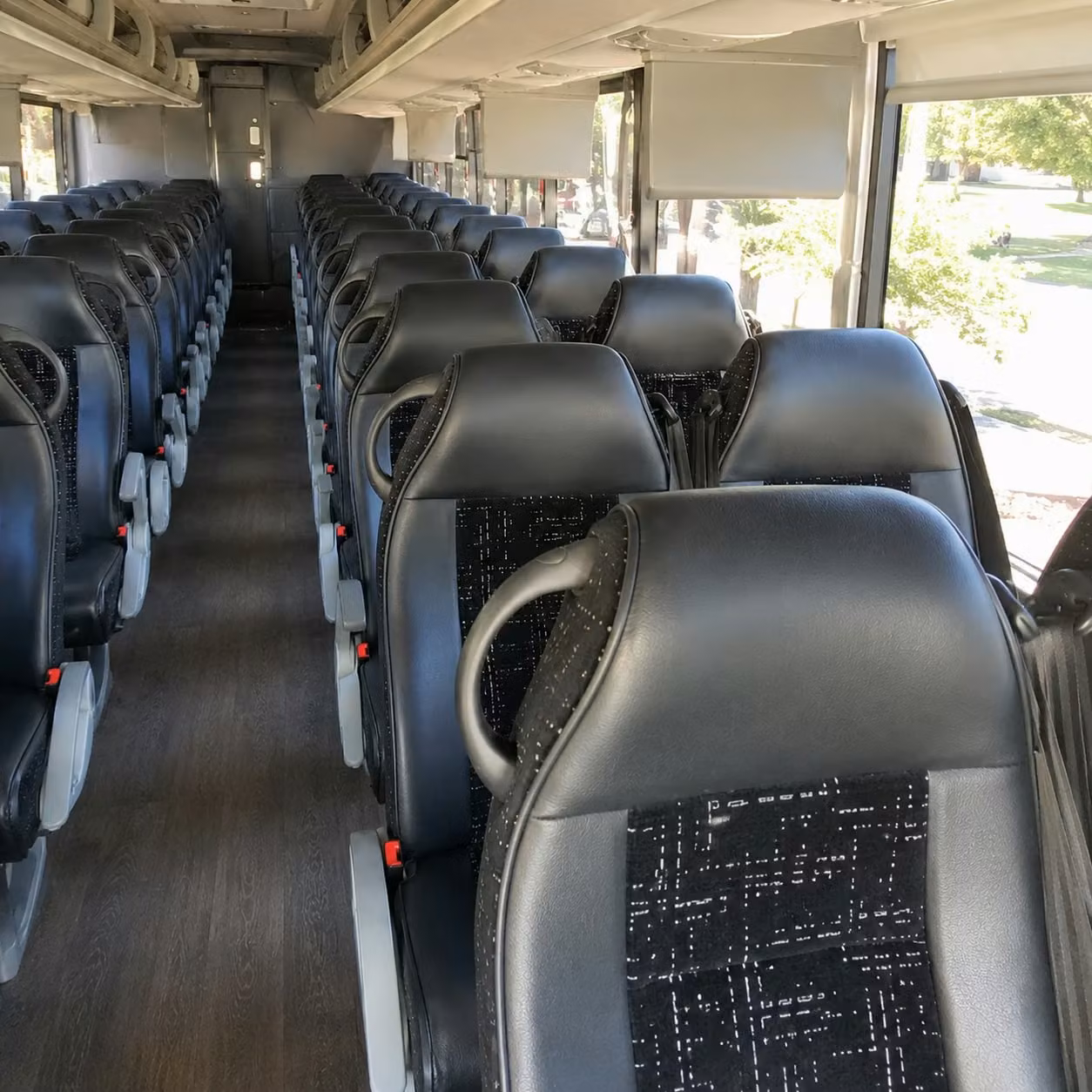 Olympia Group Transportation Services